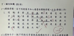 袁同學未補習前 小五上學期考試表現 (標點符號)